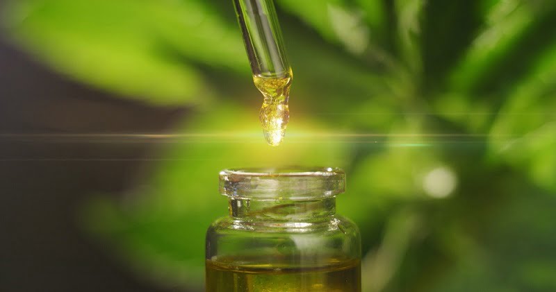 יתרונותיו של ה-CBD וסגולותיו הרפואיות