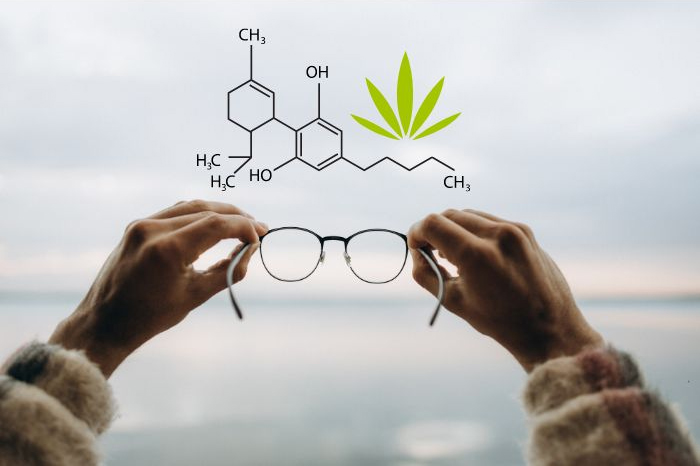 The CBD industry vision versus reality 2024